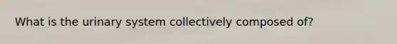 What is the urinary system collectively composed of?