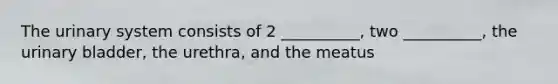 The urinary system consists of 2 __________, two __________, the urinary bladder, the urethra, and the meatus