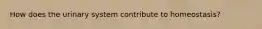 How does the urinary system contribute to homeostasis?