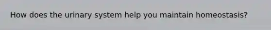 How does the urinary system help you maintain homeostasis?