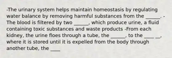 -The urinary system helps maintain homeostasis by regulating water balance by removing harmful substances from the ______. -The blood is filtered by two ______, which produce urine, a fluid containing toxic substances and waste products -From each kidney, the urine floes through a tube, the ______, to the ____ __, where it is stored until it is expelled from the body through another tube, the ____