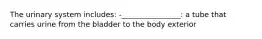 The urinary system includes: -________________: a tube that carries urine from the bladder to the body exterior