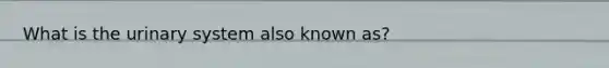 What is the urinary system also known as?