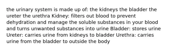 the urinary system is made up of: the kidneys the bladder the ureter the urethra Kidney: filters out blood to prevent dehydration and manage the soluble substances in your blood and turns unwanted substances into urine Bladder: stores urine Ureter: carries urine from kidneys to bladder Urethra: carries urine from the bladder to outside the body