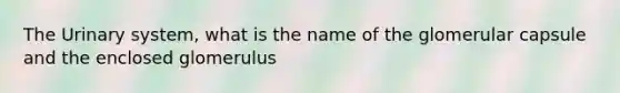 The Urinary system, what is the name of the glomerular capsule and the enclosed glomerulus