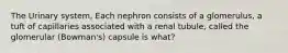 The Urinary system, Each nephron consists of a glomerulus, a tuft of capillaries associated with a renal tubule, called the glomerular (Bowman's) capsule is what?