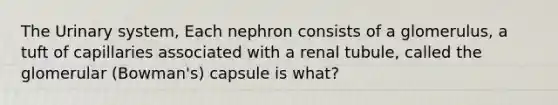 The Urinary system, Each nephron consists of a glomerulus, a tuft of capillaries associated with a renal tubule, called the glomerular (Bowman's) capsule is what?