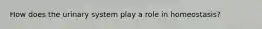 How does the urinary system play a role in homeostasis?