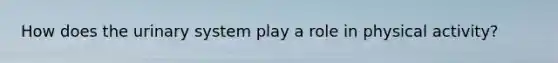 How does the urinary system play a role in physical activity?