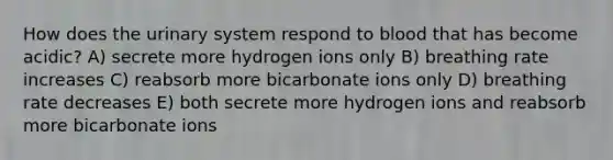 How does the urinary system respond to blood that has become acidic? A) secrete more hydrogen ions only B) breathing rate increases C) reabsorb more bicarbonate ions only D) breathing rate decreases E) both secrete more hydrogen ions and reabsorb more bicarbonate ions