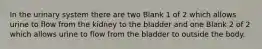In the urinary system there are two Blank 1 of 2 which allows urine to flow from the kidney to the bladder and one Blank 2 of 2 which allows urine to flow from the bladder to outside the body.
