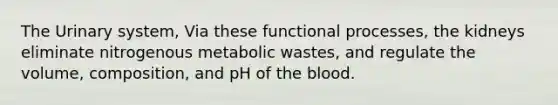 The Urinary system, Via these functional processes, the kidneys eliminate nitrogenous metabolic wastes, and regulate the volume, composition, and pH of the blood.