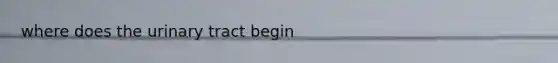 where does the urinary tract begin