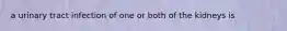 a urinary tract infection of one or both of the kidneys is