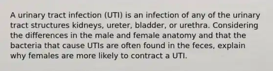 A urinary tract infection (UTI) is an infection of any of the urinary tract structures kidneys, ureter, bladder, or urethra. Considering the differences in the male and female anatomy and that the bacteria that cause UTIs are often found in the feces, explain why females are more likely to contract a UTI.