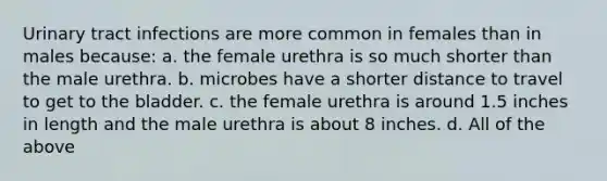 Urinary tract infections are more common in females than in males because: a. the female urethra is so much shorter than the male urethra. b. microbes have a shorter distance to travel to get to the bladder. c. the female urethra is around 1.5 inches in length and the male urethra is about 8 inches. d. All of the above