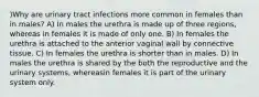 )Why are urinary tract infections more common in females than in males? A) In males the urethra is made up of three regions, whereas in females it is made of only one. B) In females the urethra is attached to the anterior vaginal wall by connective tissue. C) In females the urethra is shorter than in males. D) In males the urethra is shared by the both the reproductive and the urinary systems, whereasin females it is part of the urinary system only.