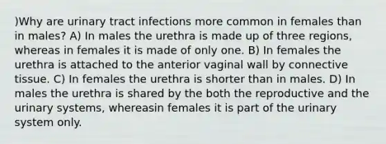 )Why are urinary tract infections more common in females than in males? A) In males the urethra is made up of three regions, whereas in females it is made of only one. B) In females the urethra is attached to the anterior vaginal wall by connective tissue. C) In females the urethra is shorter than in males. D) In males the urethra is shared by the both the reproductive and the urinary systems, whereasin females it is part of the urinary system only.