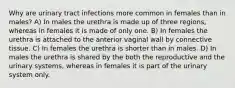 Why are urinary tract infections more common in females than in males? A) In males the urethra is made up of three regions, whereas in females it is made of only one. B) In females the urethra is attached to the anterior vaginal wall by connective tissue. C) In females the urethra is shorter than in males. D) In males the urethra is shared by the both the reproductive and the urinary systems, whereas in females it is part of the urinary system only.