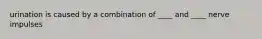 urination is caused by a combination of ____ and ____ nerve impulses