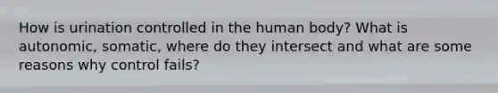 How is urination controlled in the human body? What is autonomic, somatic, where do they intersect and what are some reasons why control fails?