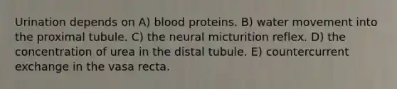 Urination depends on A) blood proteins. B) <a href='https://www.questionai.com/knowledge/kNT0ald5rb-water-movement' class='anchor-knowledge'>water movement</a> into the proximal tubule. C) the neural micturition reflex. D) the concentration of urea in the distal tubule. E) countercurrent exchange in the vasa recta.