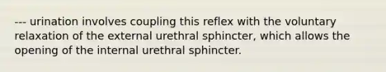 --- urination involves coupling this reflex with the voluntary relaxation of the external urethral sphincter, which allows the opening of the internal urethral sphincter.