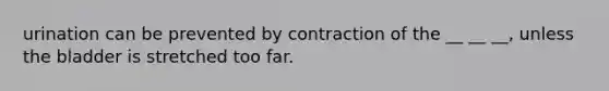 urination can be prevented by contraction of the __ __ __, unless the bladder is stretched too far.