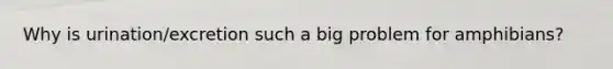 Why is urination/excretion such a big problem for amphibians?