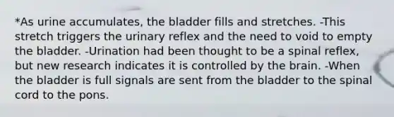 *As urine accumulates, the bladder fills and stretches. -This stretch triggers the urinary reflex and the need to void to empty the bladder. -Urination had been thought to be a spinal reflex, but new research indicates it is controlled by <a href='https://www.questionai.com/knowledge/kLMtJeqKp6-the-brain' class='anchor-knowledge'>the brain</a>. -When the bladder is full signals are sent from the bladder to <a href='https://www.questionai.com/knowledge/kkAfzcJHuZ-the-spinal-cord' class='anchor-knowledge'>the spinal cord</a> to the pons.