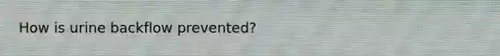 How is urine backflow prevented?
