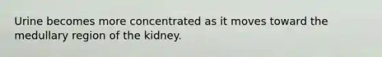 Urine becomes more concentrated as it moves toward the medullary region of the kidney.