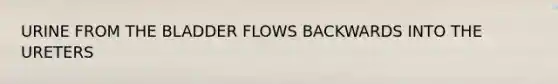 URINE FROM THE BLADDER FLOWS BACKWARDS INTO THE URETERS