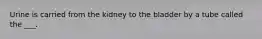Urine is carried from the kidney to the bladder by a tube called the ___.
