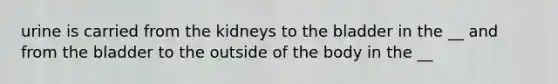 urine is carried from the kidneys to the bladder in the __ and from the bladder to the outside of the body in the __