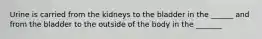 Urine is carried from the kidneys to the bladder in the ______ and from the bladder to the outside of the body in the _______