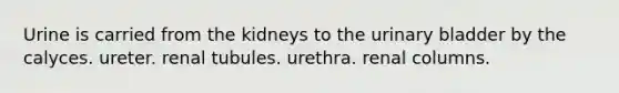 Urine is carried from the kidneys to the urinary bladder by the calyces. ureter. renal tubules. urethra. renal columns.