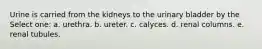 Urine is carried from the kidneys to the urinary bladder by the Select one: a. urethra. b. ureter. c. calyces. d. renal columns. e. renal tubules.