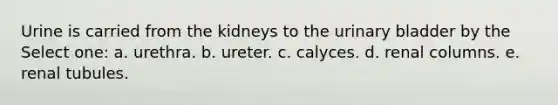 Urine is carried from the kidneys to the <a href='https://www.questionai.com/knowledge/kb9SdfFdD9-urinary-bladder' class='anchor-knowledge'>urinary bladder</a> by the Select one: a. urethra. b. ureter. c. calyces. d. renal columns. e. renal tubules.