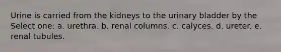 Urine is carried from the kidneys to the <a href='https://www.questionai.com/knowledge/kb9SdfFdD9-urinary-bladder' class='anchor-knowledge'>urinary bladder</a> by the Select one: a. urethra. b. renal columns. c. calyces. d. ureter. e. renal tubules.