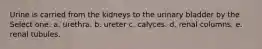 Urine is carried from the kidneys to the urinary bladder by the Select one: a. urethra. b. ureter c. calyces. d. renal columns. e. renal tubules.