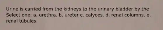 Urine is carried from the kidneys to the urinary bladder by the Select one: a. urethra. b. ureter c. calyces. d. renal columns. e. renal tubules.