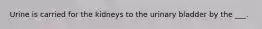 Urine is carried for the kidneys to the urinary bladder by the ___.