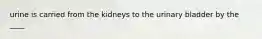 urine is carried from the kidneys to the urinary bladder by the ____