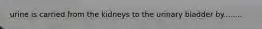 urine is carried from the kidneys to the urinary bladder by........