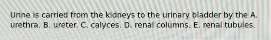 Urine is carried from the kidneys to the <a href='https://www.questionai.com/knowledge/kb9SdfFdD9-urinary-bladder' class='anchor-knowledge'>urinary bladder</a> by the A. urethra. B. ureter. C. calyces. D. renal columns. E. renal tubules.