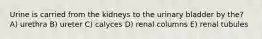 Urine is carried from the kidneys to the urinary bladder by the? A) urethra B) ureter C) calyces D) renal columns E) renal tubules
