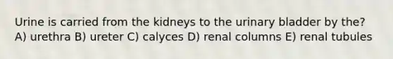 Urine is carried from the kidneys to the urinary bladder by the? A) urethra B) ureter C) calyces D) renal columns E) renal tubules