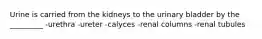 Urine is carried from the kidneys to the urinary bladder by the _________ -urethra -ureter -calyces -renal columns -renal tubules
