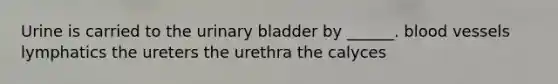 Urine is carried to the urinary bladder by ______. blood vessels lymphatics the ureters the urethra the calyces